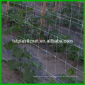 Malla Geo Pot enrejado de 4 &#39;x 100&#39; Netting 6 &quot;x 6&quot; Mesh Squares Plant Support